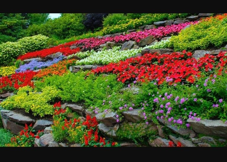 Flower Gardens