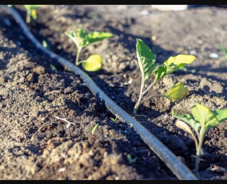 DIY Garden Irrigation Systems